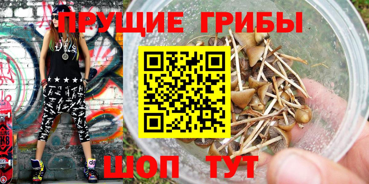 Псилоцибиновые грибы мухоморы  Псилоцибиновые грибы Magic Shrooms  Еманжелинск  Вход с VPN 